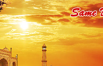 Tour to Taj Mahal