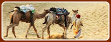 Rajasthan Tour
