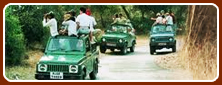 Ranthambore Tour