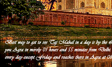 Luxury Tajmahal Tours