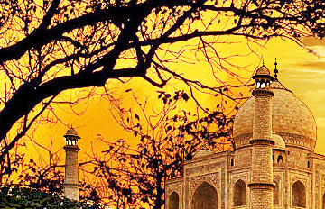 Taj Tour